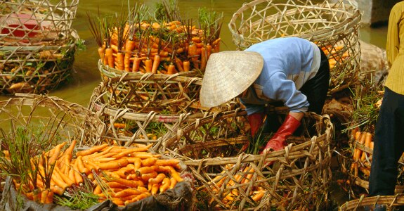 EMAG_Vietnam_GettyImages_rh836178.png