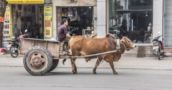 EMAG_Vietnam_shutterstock_421865542.png