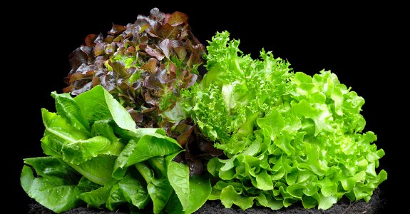 EMAG_salade_shutterstock_174787568.png