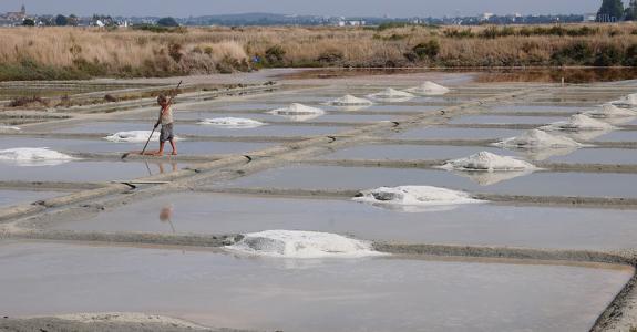 EMAG_sel_guerande_shutterstock_76243894.jpg