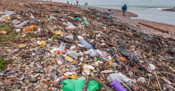 Qu’ils soient macro- ou micro-, les plastiques non recyclés défigurent l’environnement et mettent à mal la biodiversité.