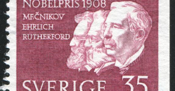 Timbre commémoratif montrant, de gauche à droite, les profils de Metchnikoff, de Paul Ehrlich (tous deux Nobel de médecine en 1908) et d’Ernest Rutherford (Nobel de chimie la même année)
