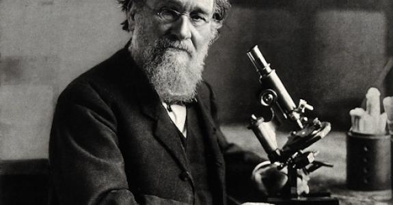 Metchnikoff au microscope