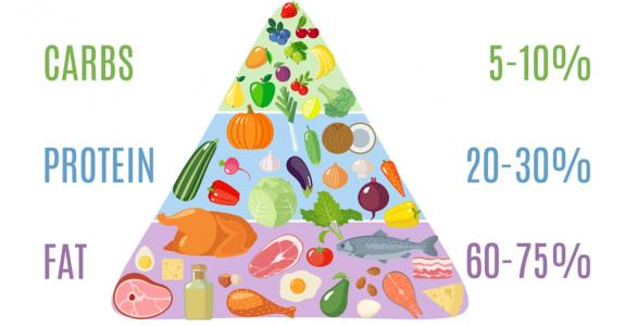 Une pyramide alimentaire originale, où acides gras et protéines composent 80% à 95% des apports conseillés