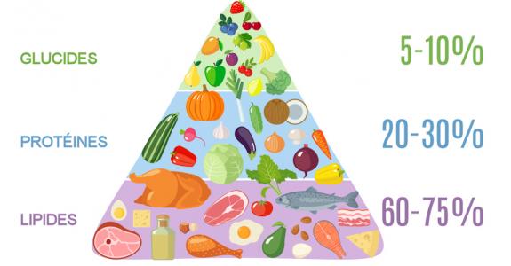 FR Une pyramide alimentaire originale, où acides gras et protéines composent 80% à 95% des apports conseillés