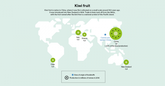 Kiwi_fruit