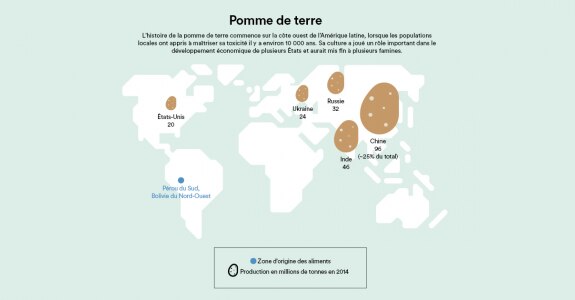 pomme de terre