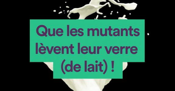 Le lait sans lactose