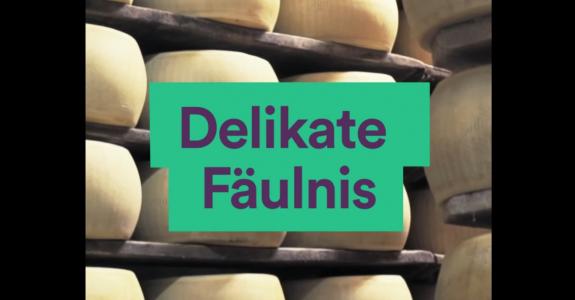 Fermentation: Delikate Fäulnis