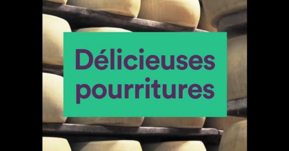 Fermentation : délicieuses pourritures ?