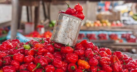 ©Shutterstock_Pierre-Yves Babelon_97574318.png