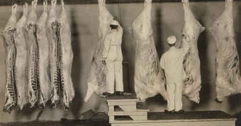 Une profession en lien avec la santé publique. Ici : inspecteurs fédéraux examinant des carcasses, États-Unis, 1910. ©Shutterstock/Everett Historical