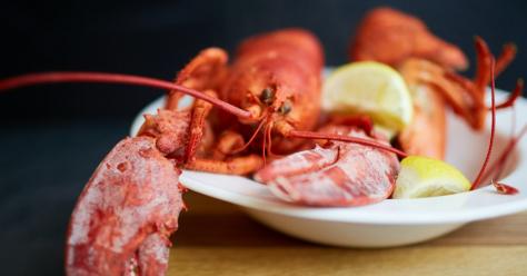Homard_1260x540_unsplash_Ih9HDG29afU.jpg