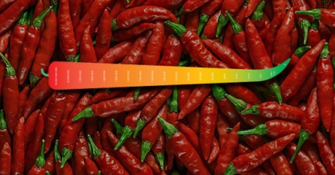 EMAG_INFO_piment_scoville_vignette.png